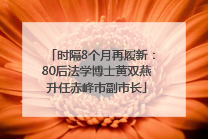 时隔8个月再履新：80后法学博士黄双燕升任赤峰市副市长