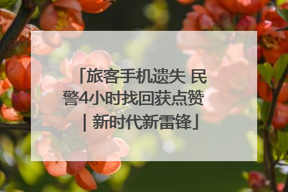 旅客手机遗失 民警4小时找回获点赞｜新时代新雷锋