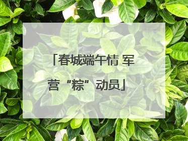 春城端午情 军营“粽”动员