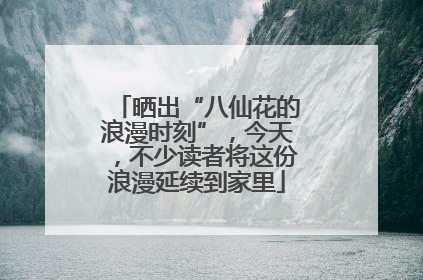 晒出“八仙花的浪漫时刻”，今天，不少读者将这份浪漫延续到家里