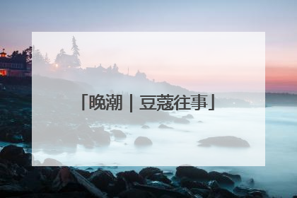 晚潮｜豆蔻往事