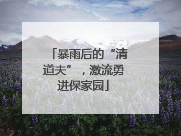 暴雨后的“清道夫”，激流勇进保家园