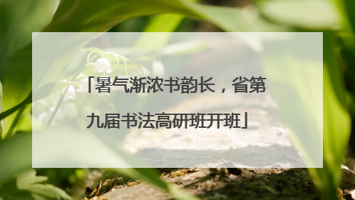 暑气渐浓书韵长，省第九届书法高研班开班