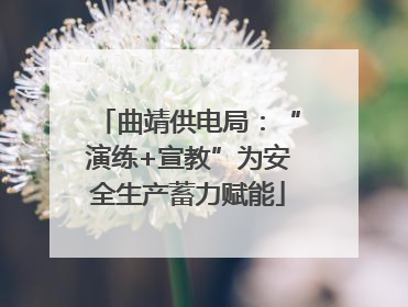 曲靖供电局：“演练+宣教”为安全生产蓄力赋能