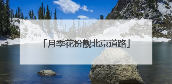 月季花扮靓北京道路