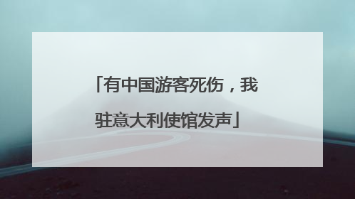 有中国游客死伤，我驻意大利使馆发声