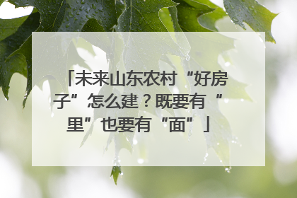 未来山东农村“好房子”怎么建？既要有“里”也要有“面”