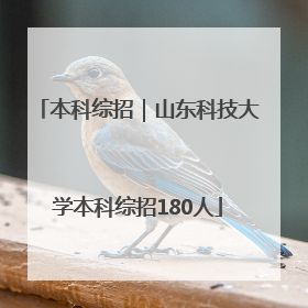 本科综招｜山东科技大学本科综招180人