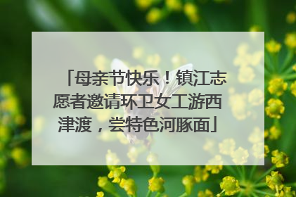 母亲节快乐！镇江志愿者邀请环卫女工游西津渡，尝特色河豚面