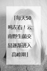 每天50吨左右！云南野生菌交易逐渐进入高峰期