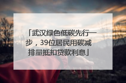 武汉绿色低碳先行一步，39位居民用碳减排量抵扣贷款利息