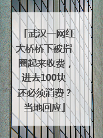 武汉一网红大桥桥下被指圈起来收费，进去100块还必须消费？当地回应