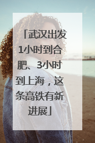 武汉出发1小时到合肥、3小时到上海，这条高铁有新进展