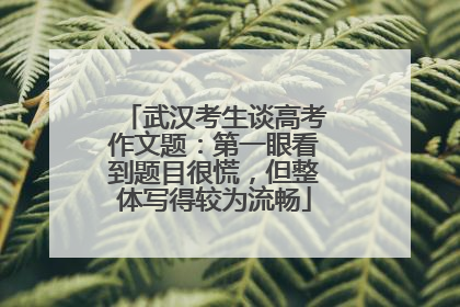武汉考生谈高考作文题：第一眼看到题目很慌，但整体写得较为流畅