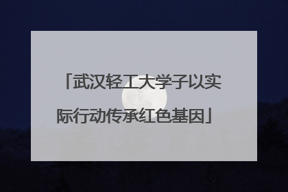 武汉轻工大学子以实际行动传承红色基因