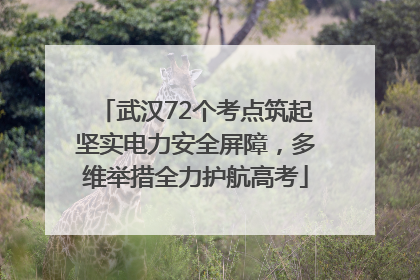 武汉72个考点筑起坚实电力安全屏障，多维举措全力护航高考