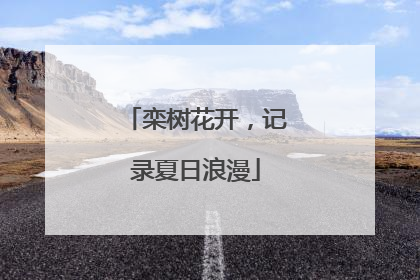 栾树花开，记录夏日浪漫