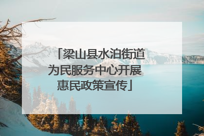 梁山县水泊街道为民服务中心开展惠民政策宣传