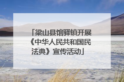 梁山县馆驿镇开展《中华人民共和国民法典》宣传活动