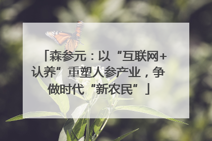 森参元：以“互联网+认养”重塑人参产业，争做时代“新农民”