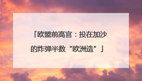 欧盟前高官：投在加沙的炸弹半数“欧洲造”