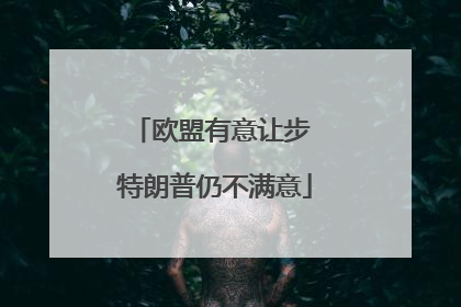欧盟有意让步 特朗普仍不满意