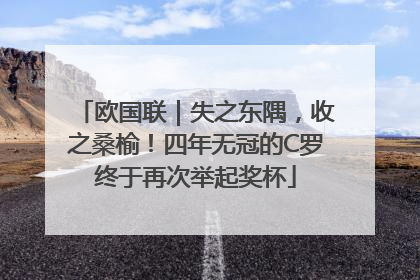 欧国联｜失之东隅，收之桑榆！四年无冠的C罗终于再次举起奖杯
