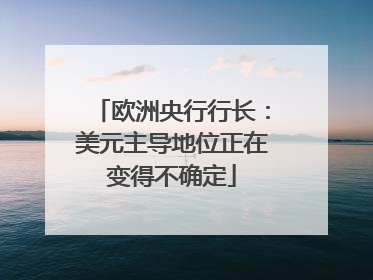欧洲央行行长：美元主导地位正在变得不确定