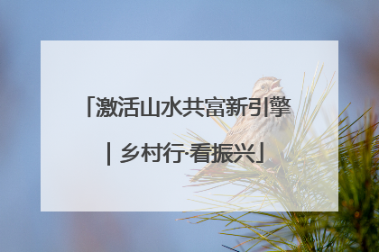激活山水共富新引擎｜乡村行·看振兴