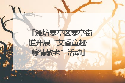 潍坊寒亭区寒亭街道开展“艾香童趣·粽情敬老”活动