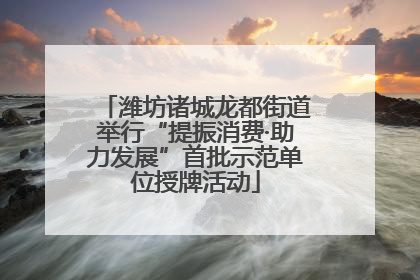潍坊诸城龙都街道举行“提振消费·助力发展”首批示范单位授牌活动