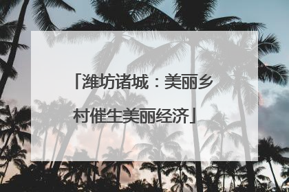 潍坊诸城：美丽乡村催生美丽经济