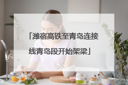 潍宿高铁至青岛连接线青岛段开始架梁