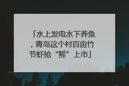水上发电水下养鱼，青岛这个村百亩竹节虾抢“鲜”上市