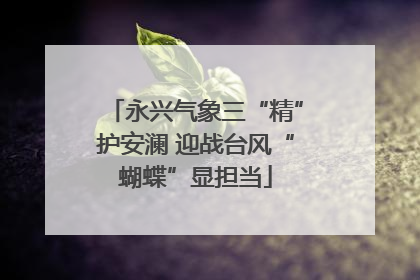 永兴气象三“精”护安澜 迎战台风“蝴蝶”显担当