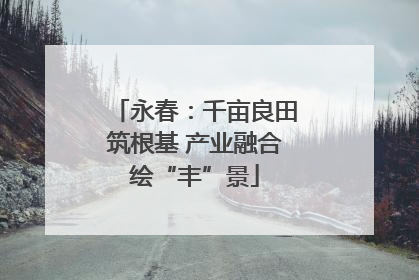 永春：千亩良田筑根基 产业融合绘“丰”景