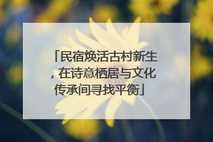 民宿焕活古村新生，在诗意栖居与文化传承间寻找平衡