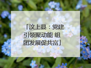 汶上县：党建引领聚动能 组团发展促共富
