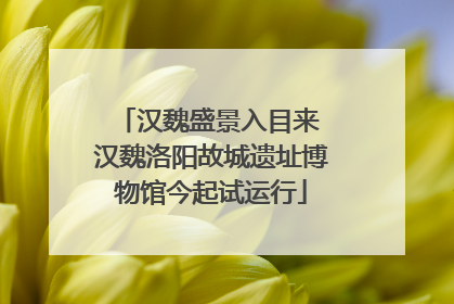汉魏盛景入目来 汉魏洛阳故城遗址博物馆今起试运行