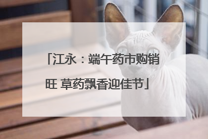 江永：端午药市购销旺 草药飘香迎佳节