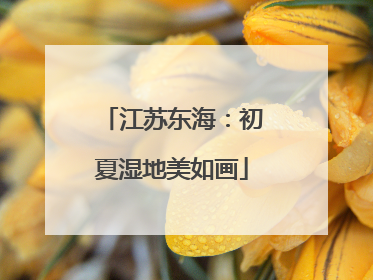 江苏东海：初夏湿地美如画