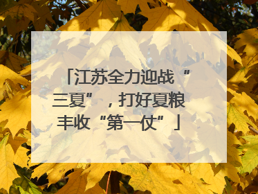 江苏全力迎战“三夏”，打好夏粮丰收“第一仗”