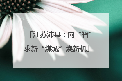江苏沛县：向“智”求新“煤城”焕新机