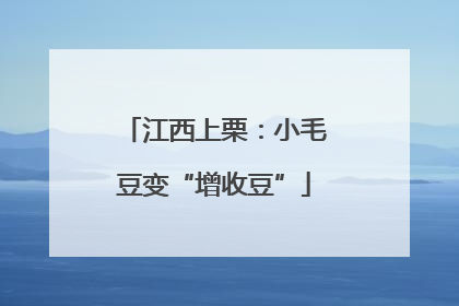 江西上栗：小毛豆变“增收豆”