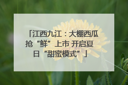 江西九江：大棚西瓜抢“鲜”上市 开启夏日“甜蜜模式”