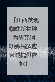 江西发现蜘蛛新物种 为研究呵叻蛛属适应区域提供依据