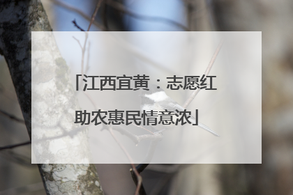 江西宜黄：志愿红助农惠民情意浓
