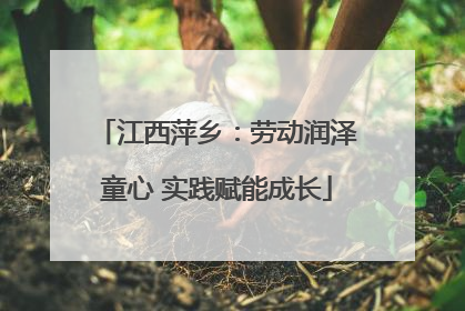 江西萍乡：劳动润泽童心 实践赋能成长
