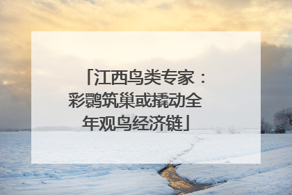 江西鸟类专家：彩鹮筑巢或撬动全年观鸟经济链