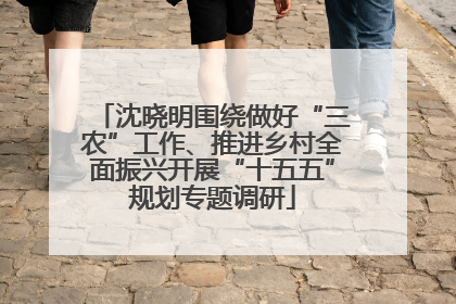 沈晓明围绕做好“三农”工作、推进乡村全面振兴开展“十五五”规划专题调研